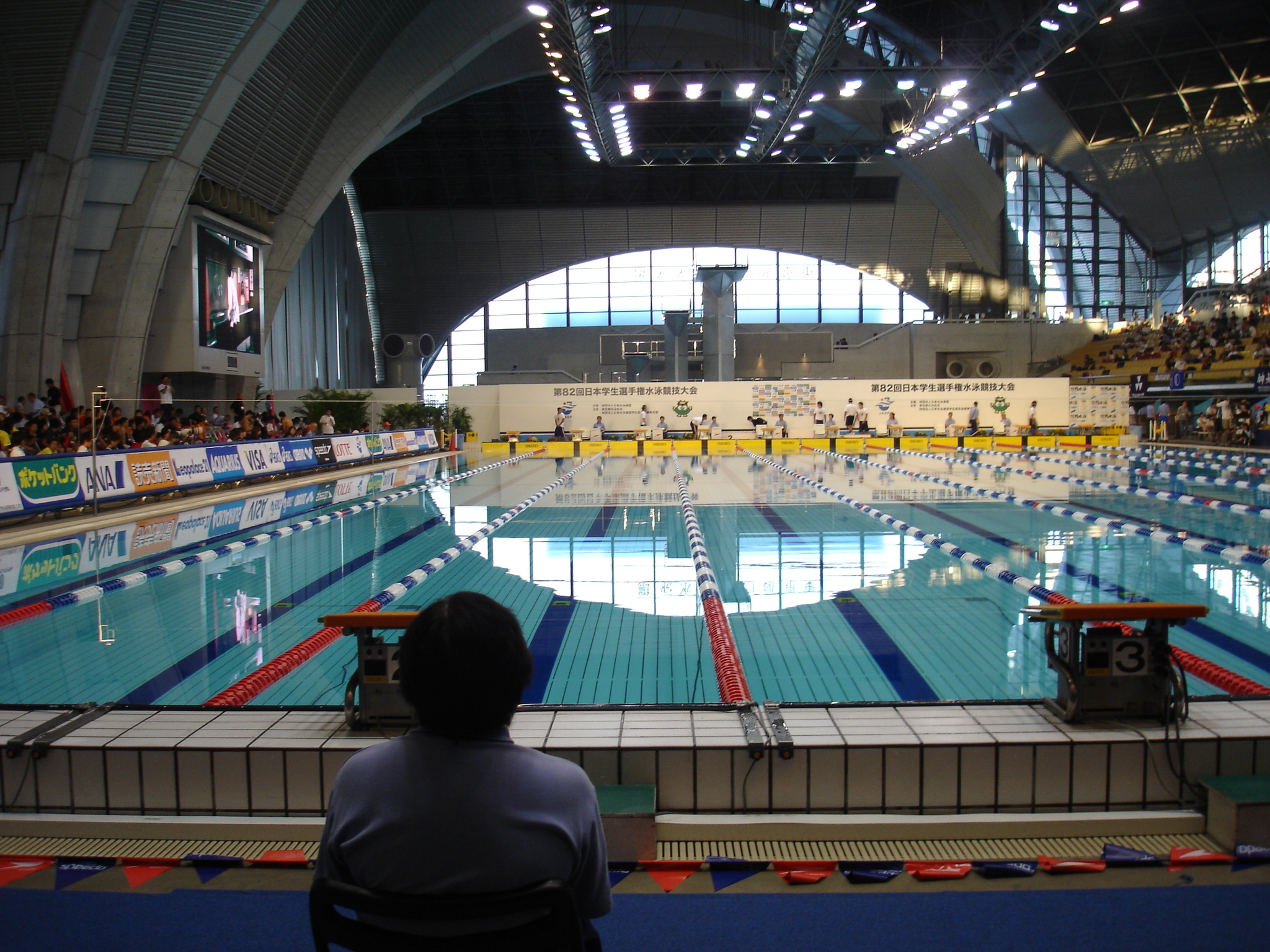 水泳 学生日本一決定戦